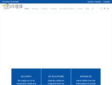 Tablet Screenshot of iceman.com.sg